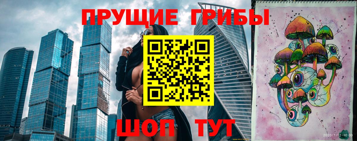 Подольск  Галлюциногенные грибы GOLDEN TEACHER  Вход с VPN 